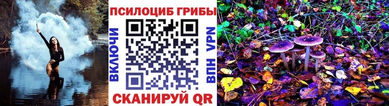 OMG tor  Камень-на-Оби  Псилоцибиновые грибы мухоморы 